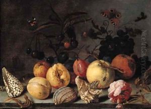 Fruit and shells, with butterflies, a dragonfly, a lizard, a snail and a fly on a stone ledge