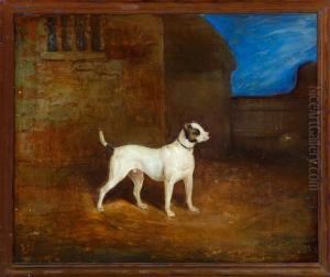 Viper, A Bull-terrier by Charles Bilger Spalding