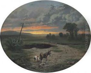 Il Raccoglitore Di Pietre Il Raccoglitore Di Pietre