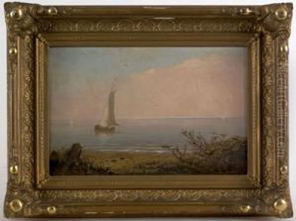 Coastal Scene - view 1