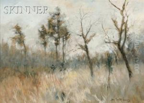 Landscape With Meadow Grass And Trees - view 1