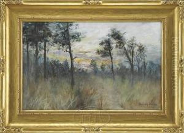 Sunset Landscape - view 1