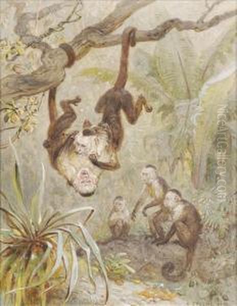 Monkeys At Play - view 1