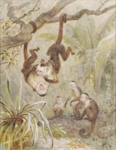 Monkeys At Play by Ernst Christian Specht
