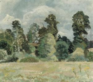 A Summer Meadow