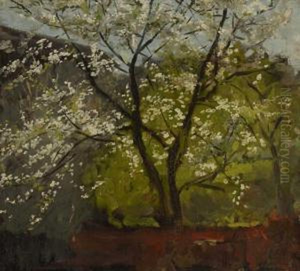 Bluhender Baum - view 1