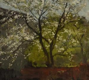 Bluhender Baum by Johann Sperl
