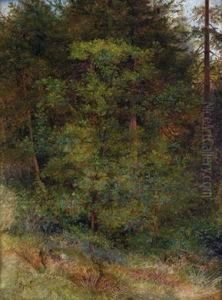 Waldstuck Mit Rot Bluhendem Busch Im Vordergrund by Johann Sperl