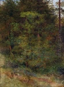 Waldstuck Mit Rotbluhendem Busch Im Vordergrund by Johann Sperl