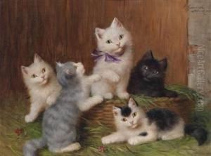 Kittens by Sophie Sperlich