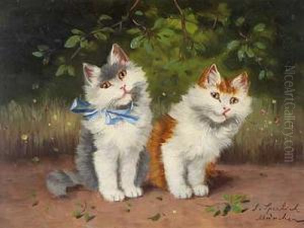 Zwei Neugierige Katzen - view 1
