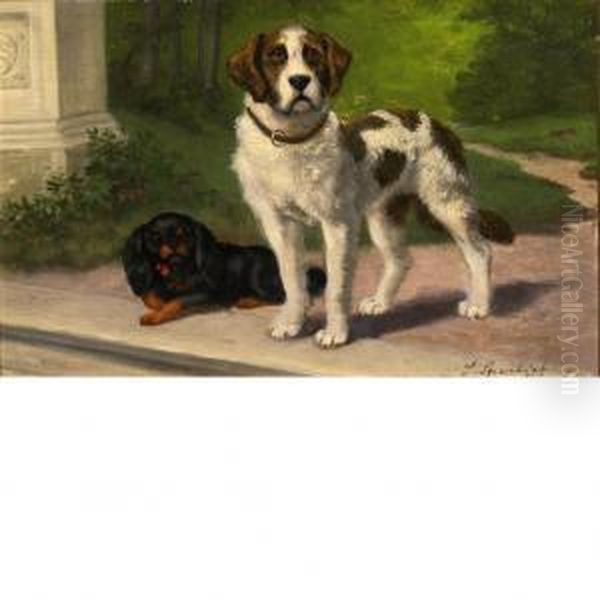 Two Curious Pups - view 1