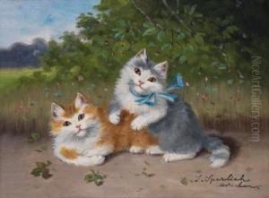 Zwei Spielende Katzen by Sophie Sperlich