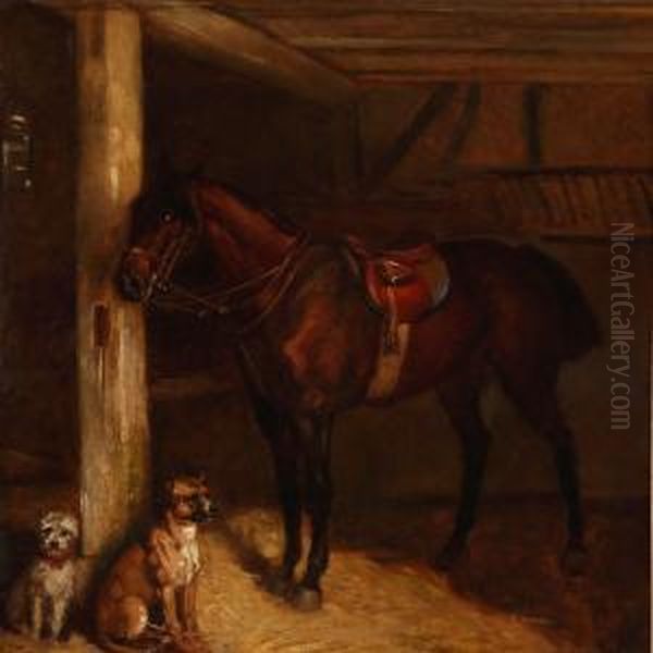 A Horse And Two Dogs In Stable - view 1