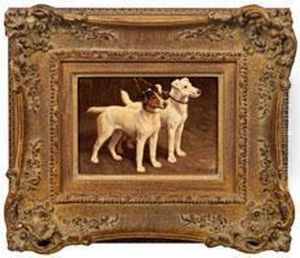 Paar Jack Russell Terrier