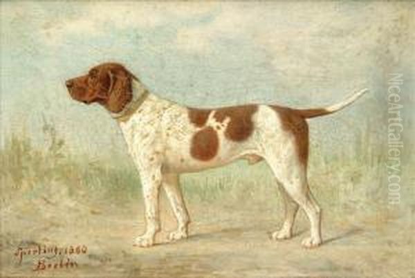 Water Spanielmastiffpoodlepointel - view 1