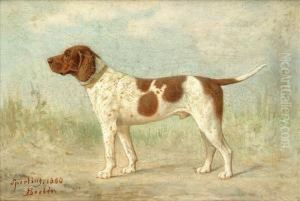 Water Spanielmastiffpoodlepointel by Heinrich Sperling