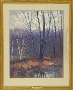 Stream In The Woods" by Harry Spiers
