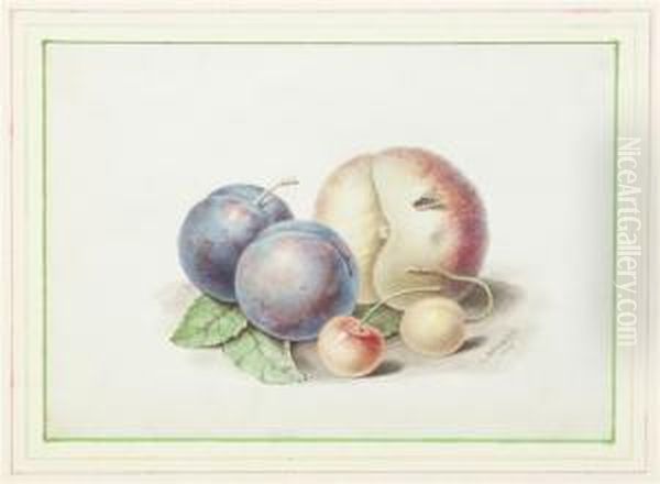 Still Life With Plum, Cherries And Peach - view 1