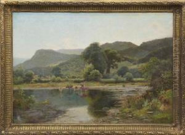 Extensive Hilly River Landscape - view 1