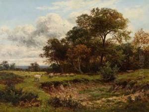 Schafherde Am Waldrand" by Thomas Spinks