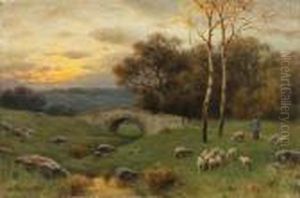 Schafer Auf Der Weide