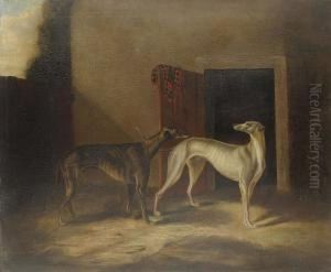 Two Prize Greyhounds