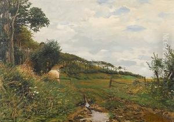 The Trodden Path - view 1