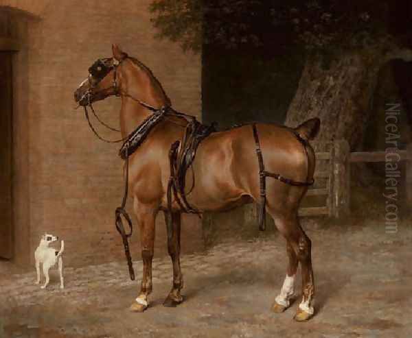 A Carriage Horse - view 1