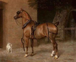 A Carriage Horse by Jacques Laurent Agasse