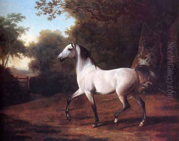 A Grey Arab Stallion In A Wooded Landscape - view 1
