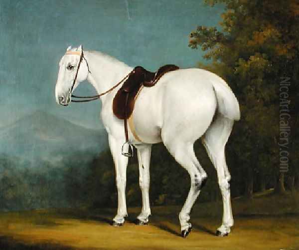 A Ladys Grey Hunter - view 1
