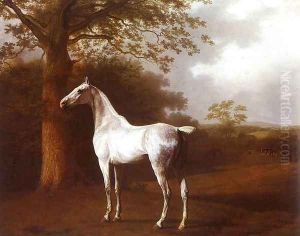 White Horse in Pasture by Jacques Laurent Agasse