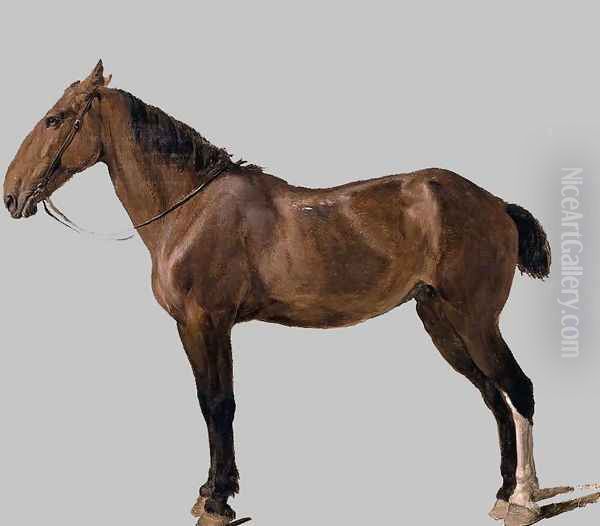Portrait of a Horse, 1794 - view 1