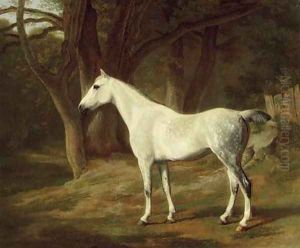 A grey hunter in a wooded landscape by Jacques Laurent Agasse