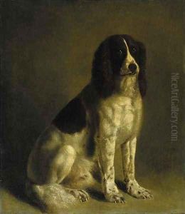 A springer spaniel