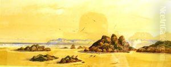Beach Scene With Oyster Catchers - view 1