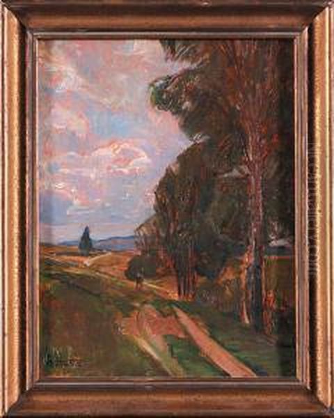Polna Droga - view 1