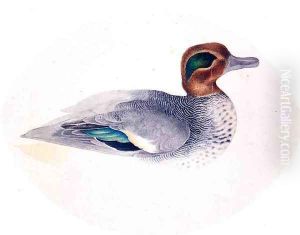 Green Winged Teal