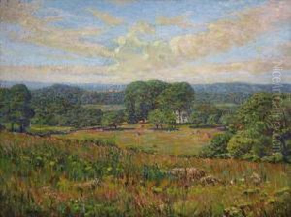 Summer Meadows - view 1