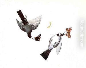 Wagtails by John James Audubon