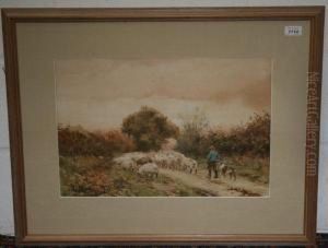 Shepherd With Sheepdog And Sheep In Rurallane