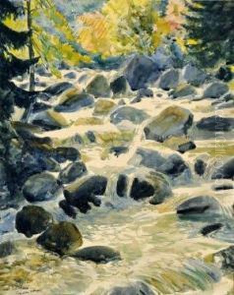 Popradsky Potok - view 1