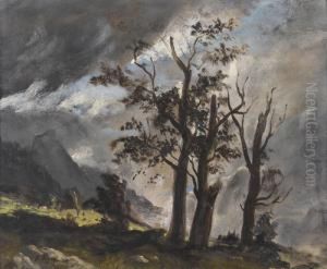 Ahorne Nach Dem Sturm by Balthasar, Balz Stager