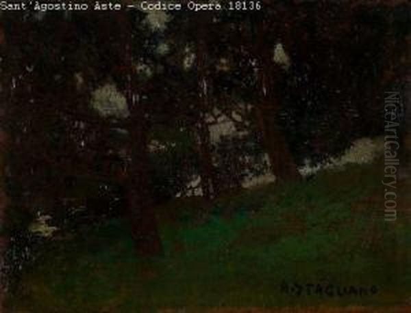 Nel Bosco - view 1