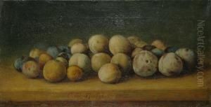 Prune Pemarginea Mesei by C.D. Stahi
