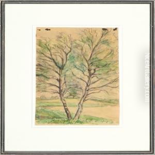 Study Of A Tree - view 1