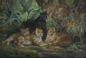 Leopards At Rest