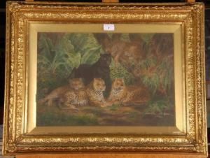 Jungle Cats At Rest
