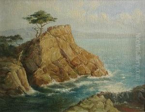 The Lone Cypress - view 1